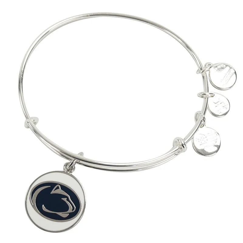 Alex & Ani Color Infusion Bangle