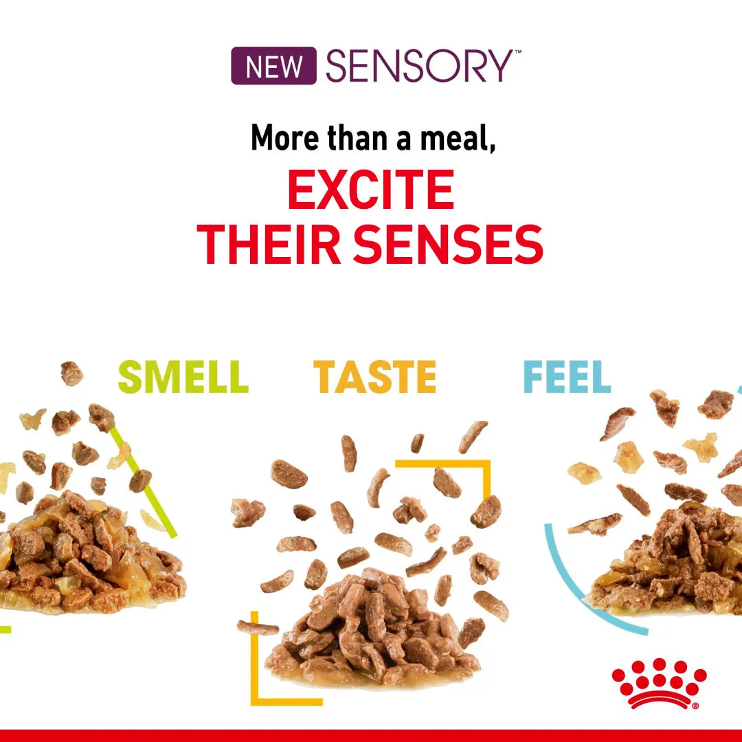 Royal Canin Cat Pouch - Sensory Feel