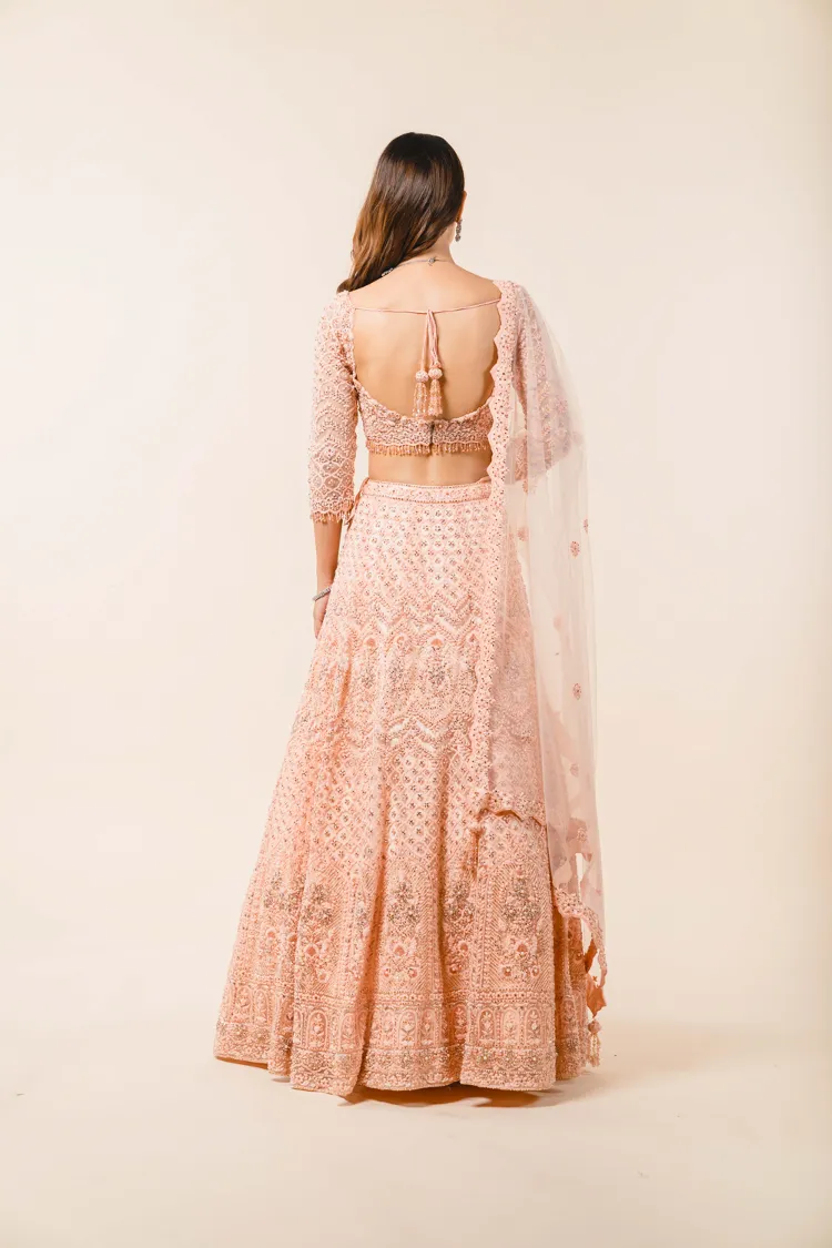 Soft Peach Tulle Lehenga Choli Set